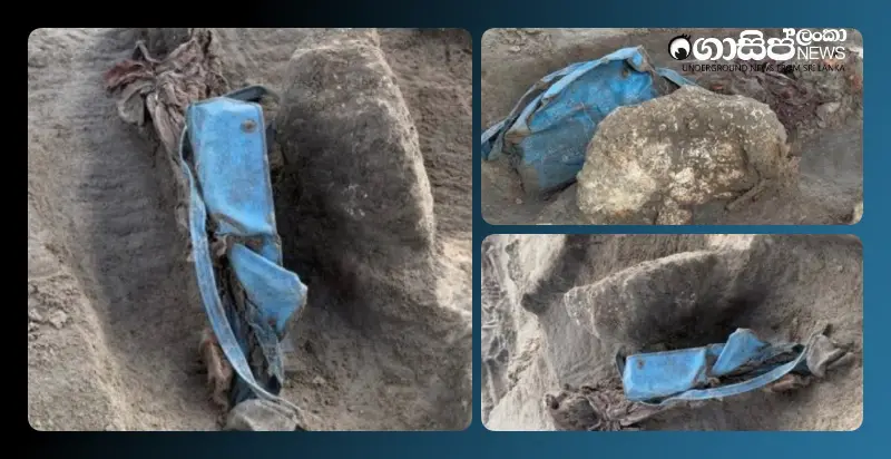 bones-of-a-small-child-found-with-a-school-bag-in-a-mass-grave-in-chemmani-jaffna