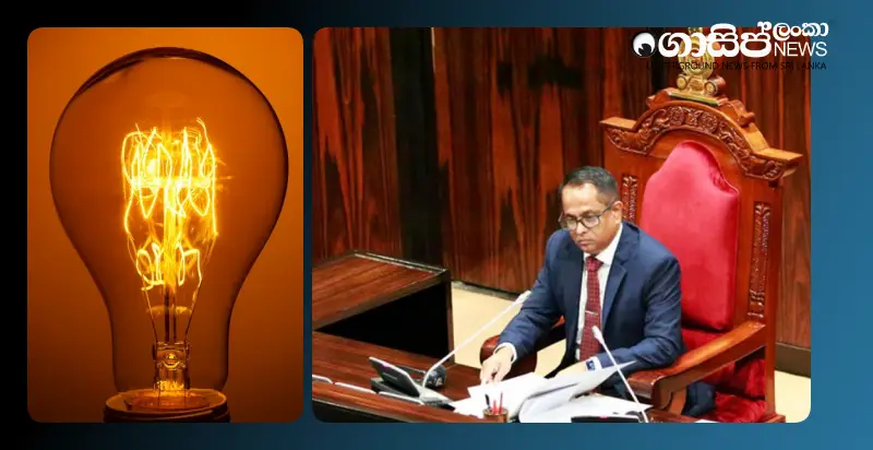 certain-sections-of-the-new-electricity-act-are-contrary-to-the-constitution