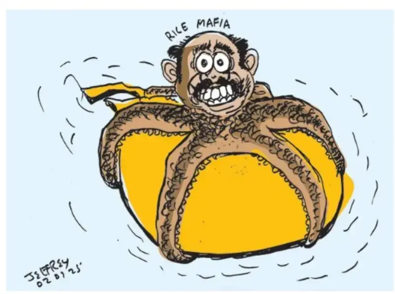 gossiplanka image 16