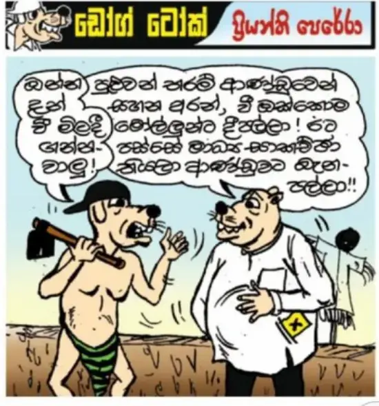 gossiplanka image 15