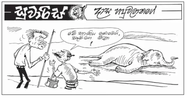 gossiplanka image 28