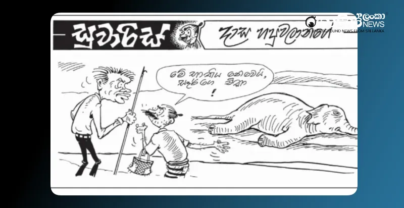 the-fate-of-ranils-elephant-and-bhathiya-tuesday-cartoon