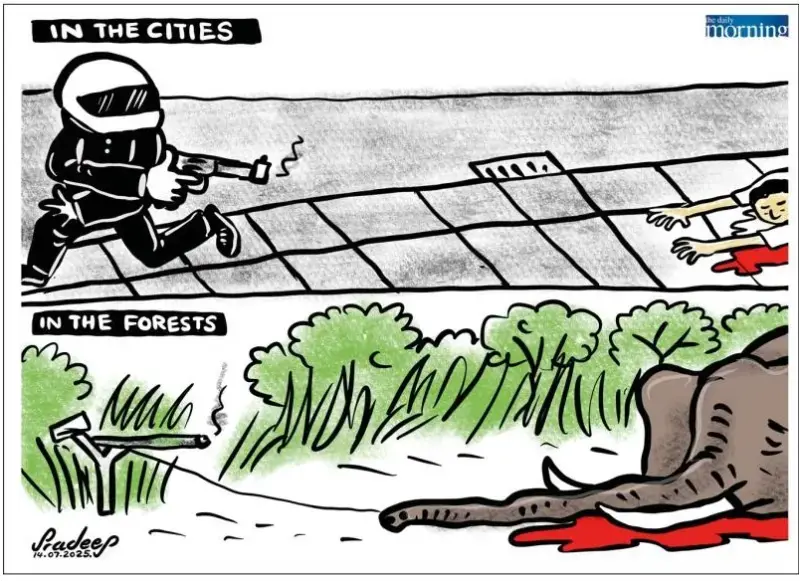 gossiplanka image 30