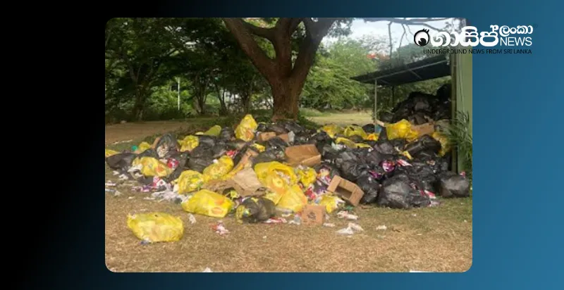 10-tons-of-garbage-from-those-who-watched-the-match-in-pallekele-has-still-not-been-removed