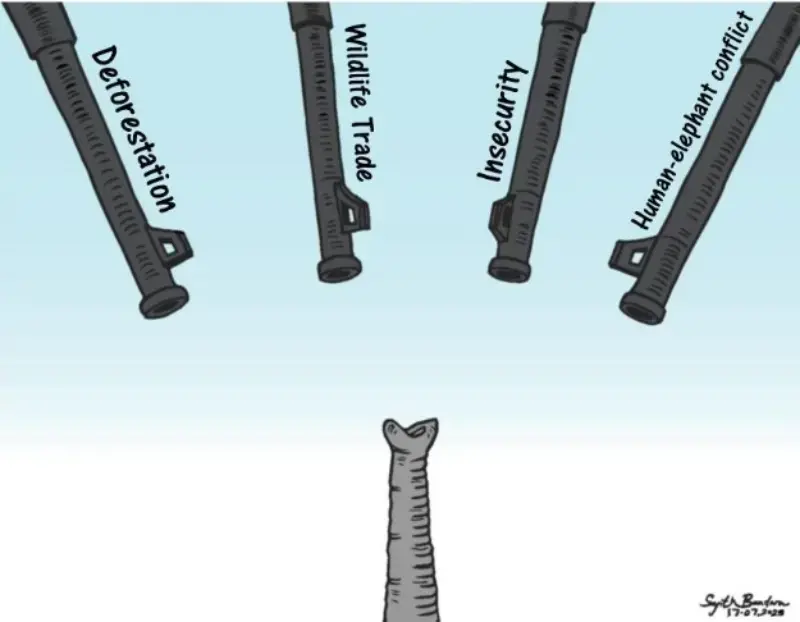 gossiplanka image 16