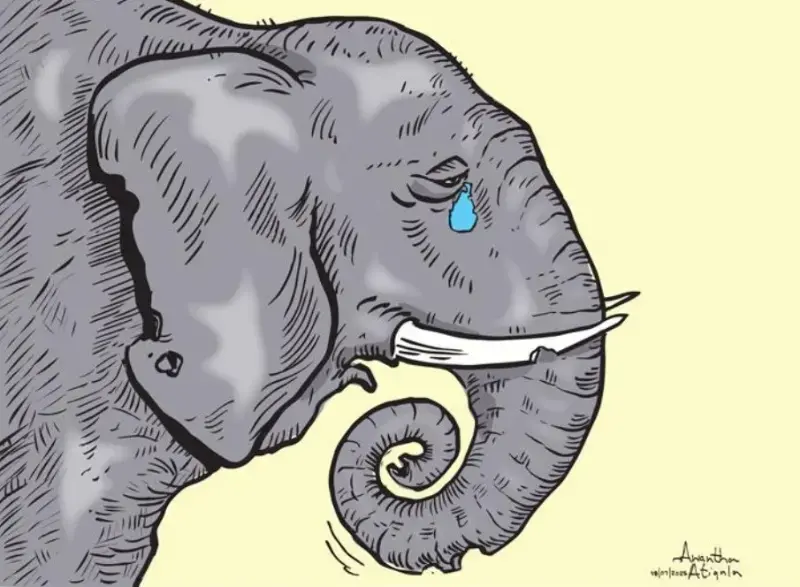 gossiplanka image 20