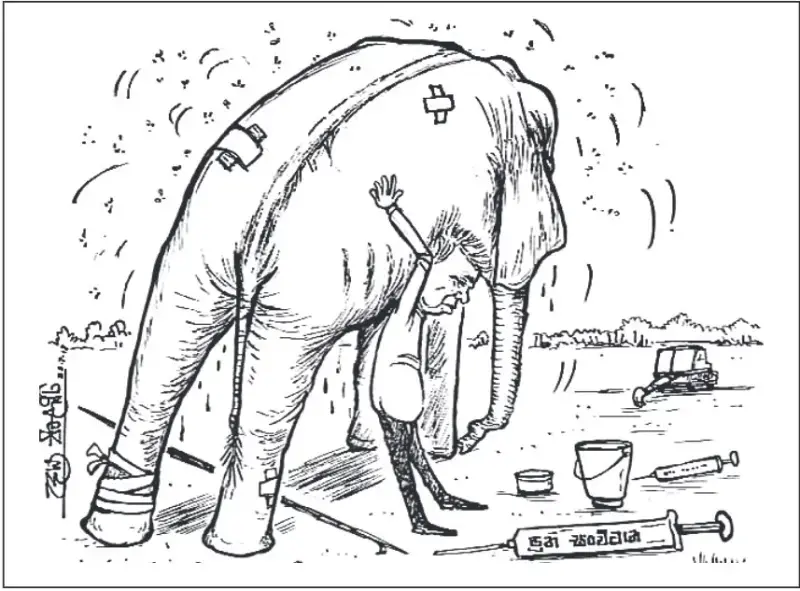 gossiplanka image 28