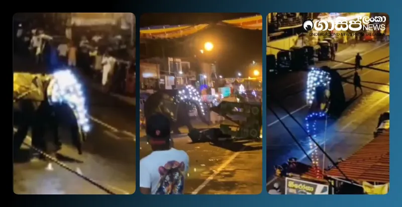 elephant-procession-at-ruwanwella-esala-perahera-video