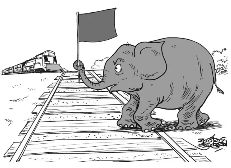 gossiplanka image 24