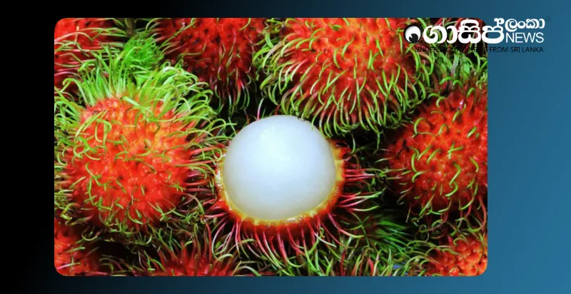 eating-rambutan-is-good-eating-too-much-is-bad