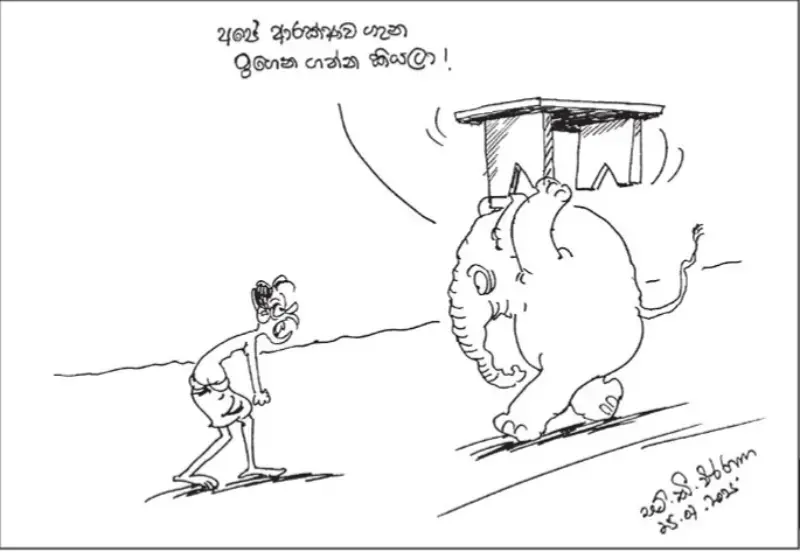 gossiplanka image 13