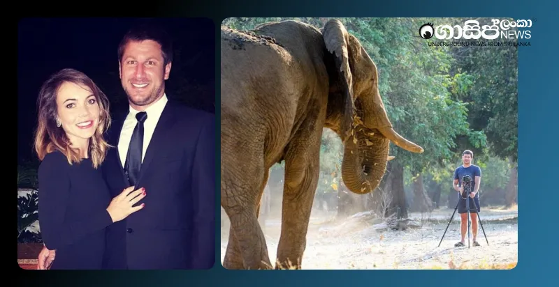 billionaire-ceo-killed-by-elephant-in-south-african-park