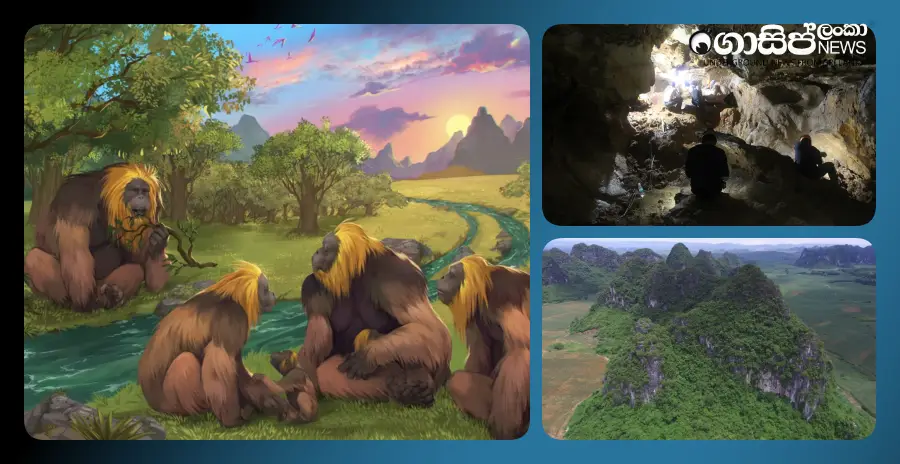 scientists-reveal-how-king-kong-the-giant-ape-became-extinct