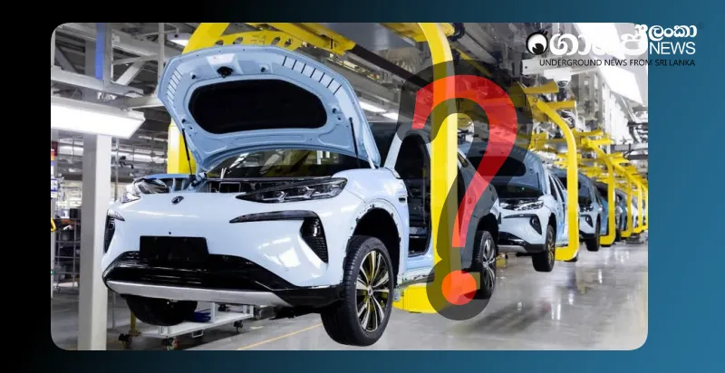 byds-imported-vehicles-detained-at-customs-due-to-capacity-issues