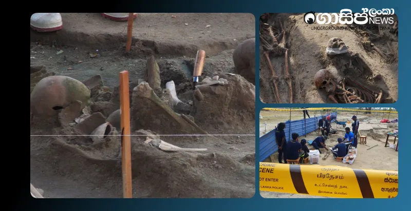 for-the-first-time-in-history-a-mass-grave-chemmani-is-on-public-display for-the-first-time-in-history-a-mass-grave-chemmani-is-on-public-display