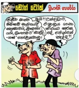 gossiplanka image 11