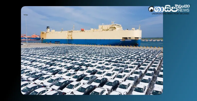 Although 991 BYD vehicles were released, another 1000 vehicles are stuck at customs; importers are helpless Although 991 BYD vehicles were released, another 1000 vehicles are stuck at customs; importers are helpless