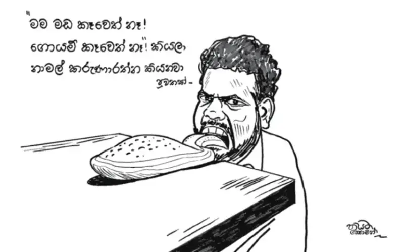 gossiplanka image 17