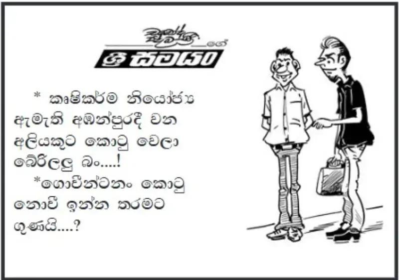 gossiplanka image 19