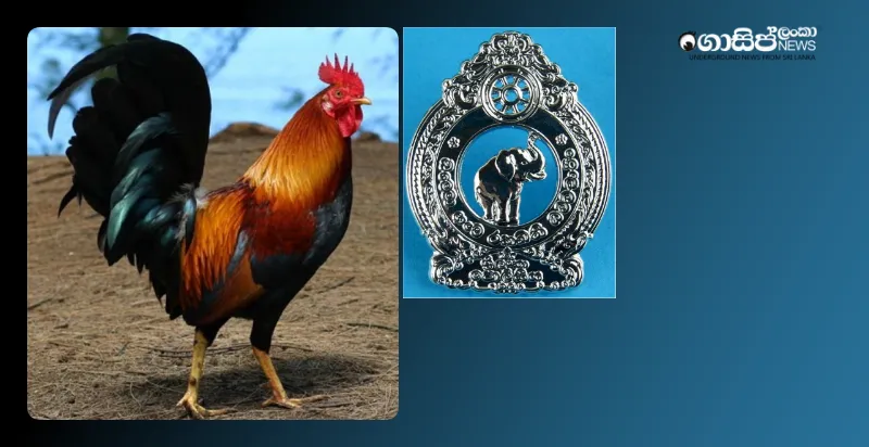 police-provide-chicken-while-digs-wife-digs-for-treasure police-provide-chicken-while-digs-wife-digs-for-treasure