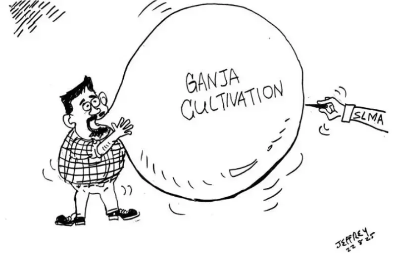 gossiplanka image 15