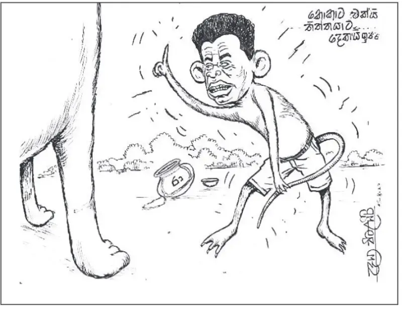 gossiplanka image 21