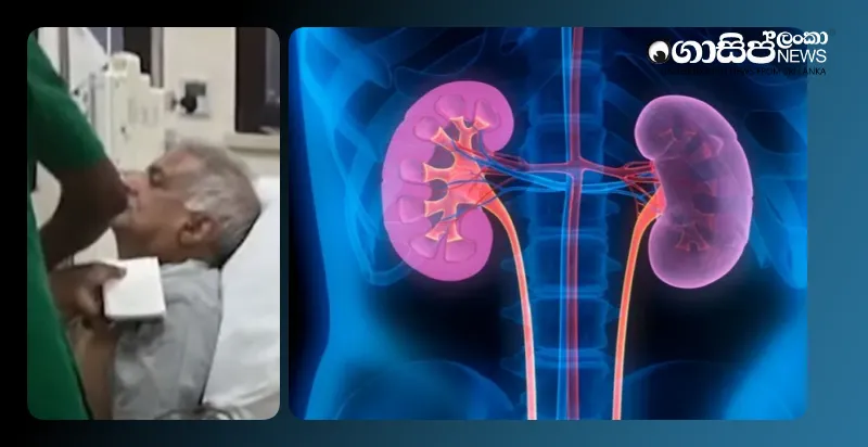 ranils-kidney-sodium-levels-drop