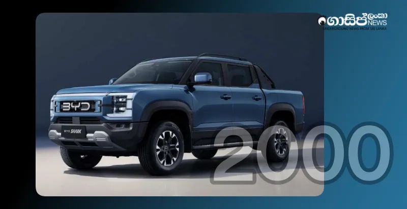 two-thousand-byd-shark-6s-for-government-agency-work