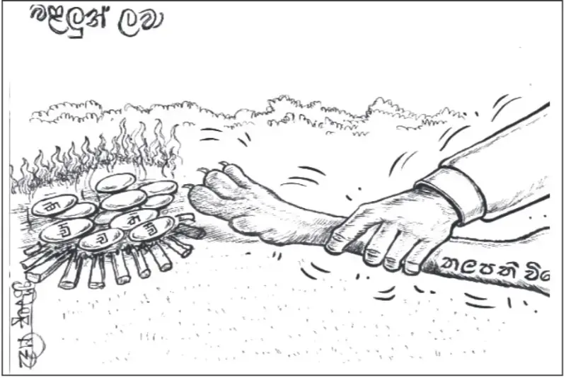 gossiplanka image 25