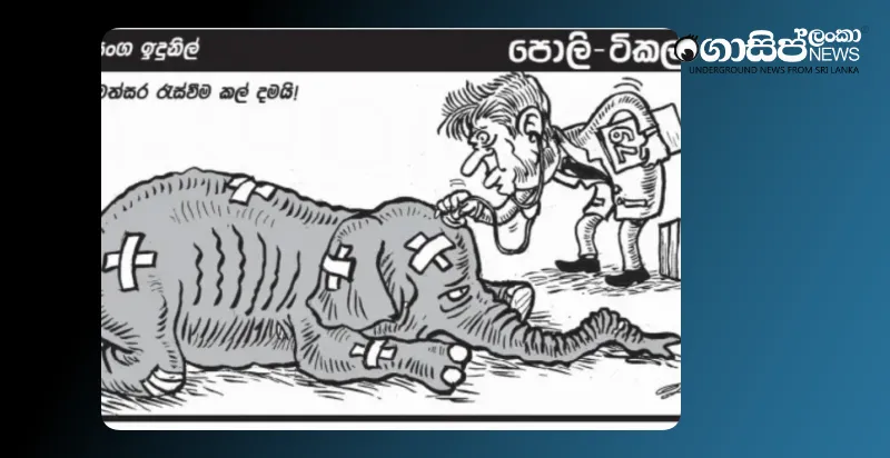 the-elephant-is-injured-thursday-cartoon