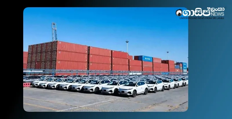 part-of-byd-detained-in-customs-custody-released