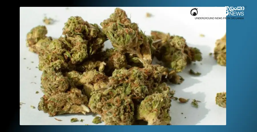 200-million-rupees-worth-of-cash-found-in-a-bag-left-at-the-katunayake-arrival-terminal