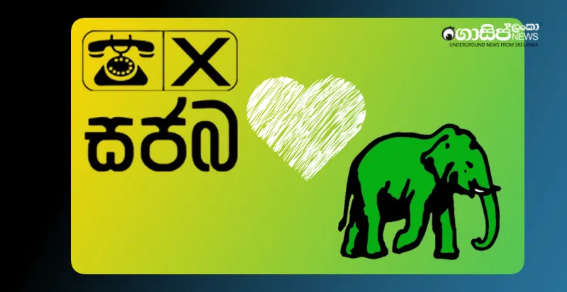 elephants-save-telephones