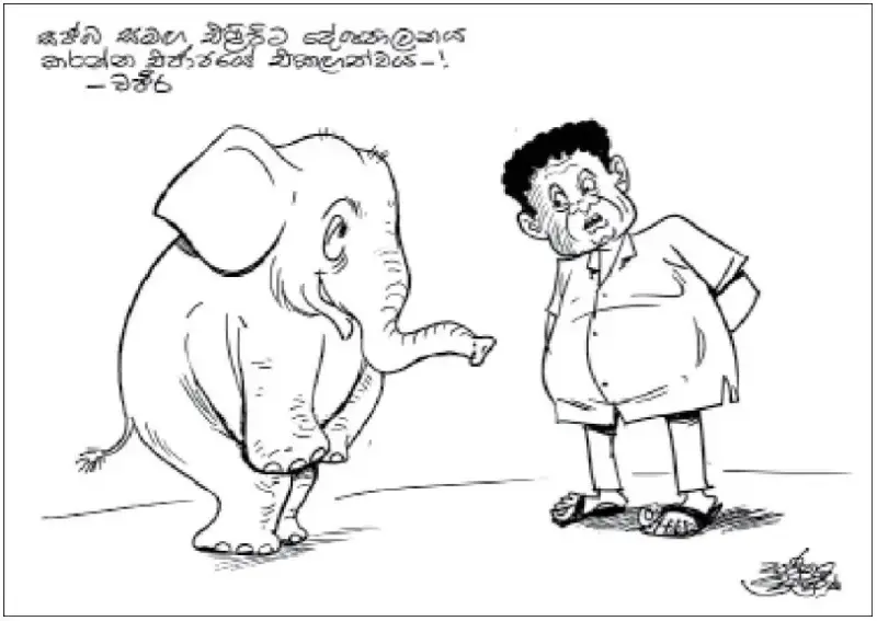 gossiplanka image 25