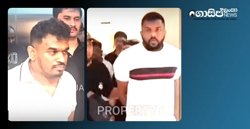 the-backwoods-and-the-orange-trees-are-swaying-in-the-breeze-of-a-forest