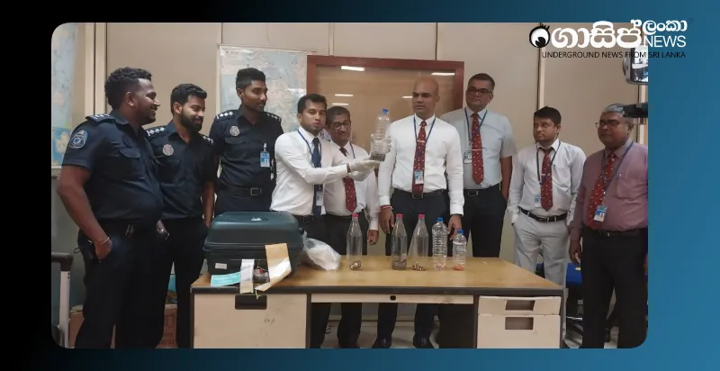 woman-arrested-at-airport-for-illegally-transporting-6-snakes