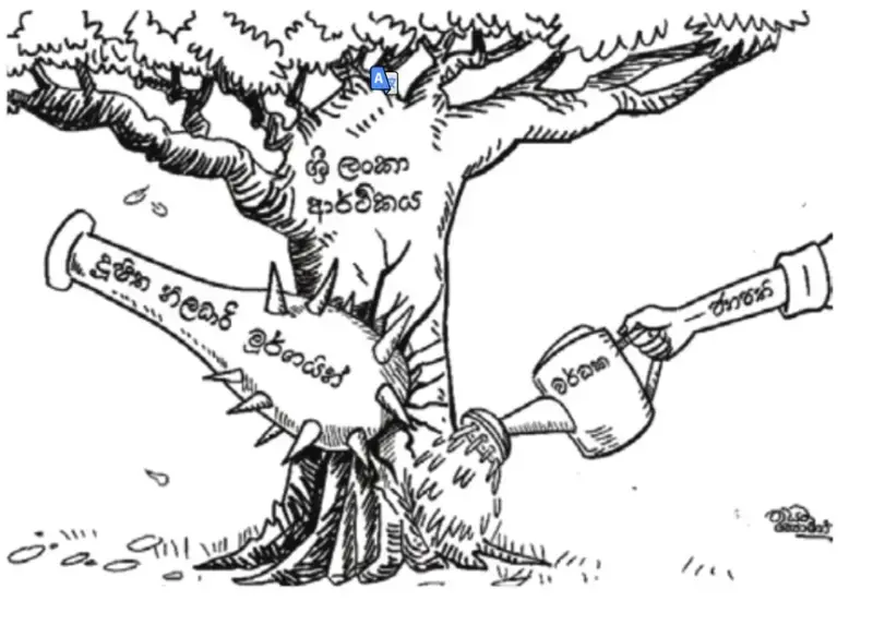 gossiplanka image 25