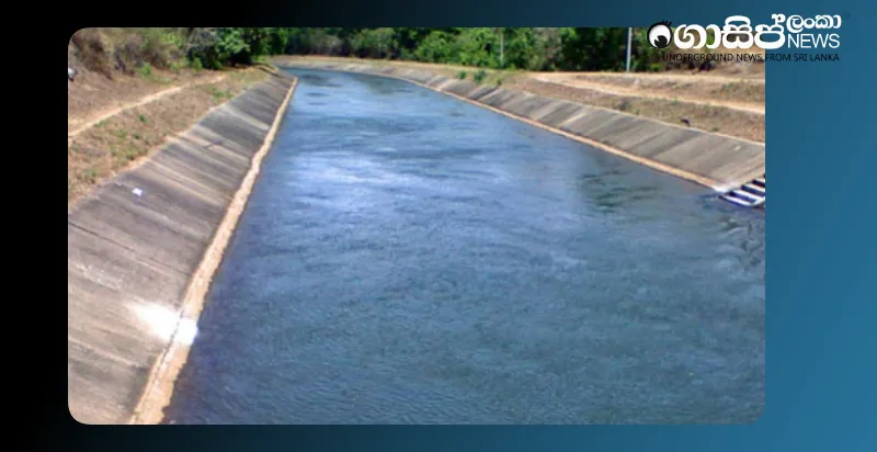 a-firearm-and-30-bullets-were-found-at-the-bottom-of-the-mahaweli-vienna-canal