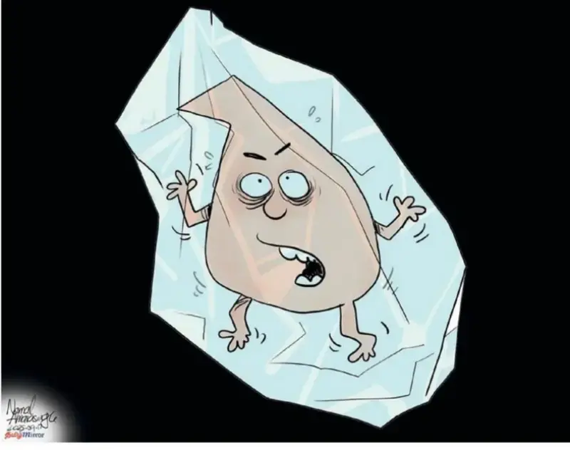 gossiplanka image 19