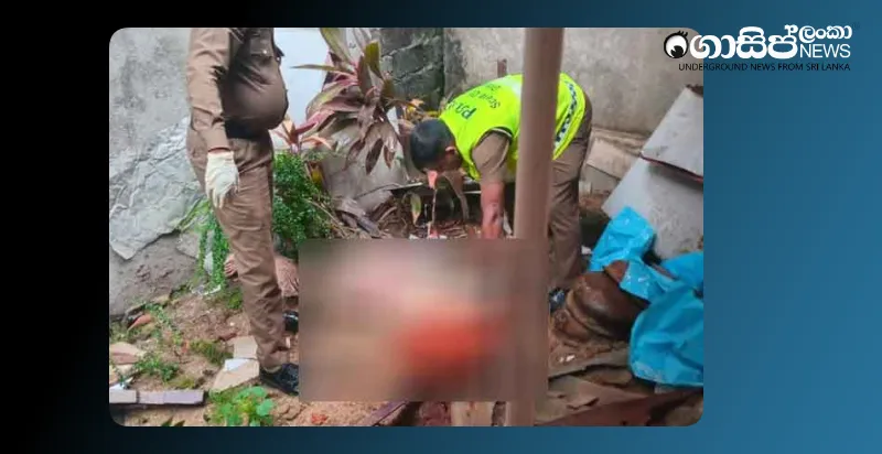 chinese-national-killed-in-dehiwala