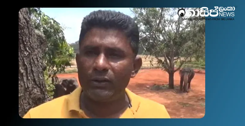 aliroshan-sentenced-to-15-years-in-prison-for-illegally-possessing-an-elephant