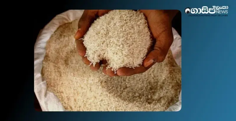 despite-shortage-of-kiri-samba-there-is-no-shortage-of-other-rice-varieties-government-says