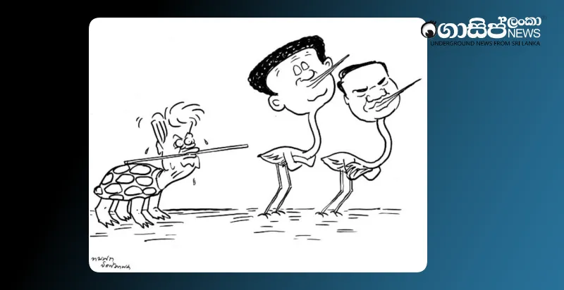 the-stork-who-doesnt-like-ranil-ibba-monday-cartoon