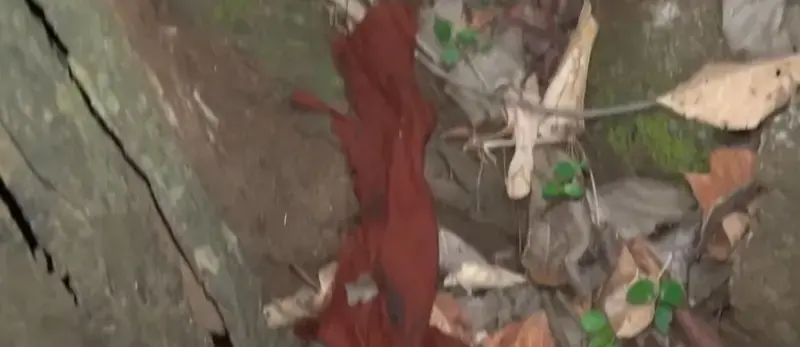 gossiplanka image 11