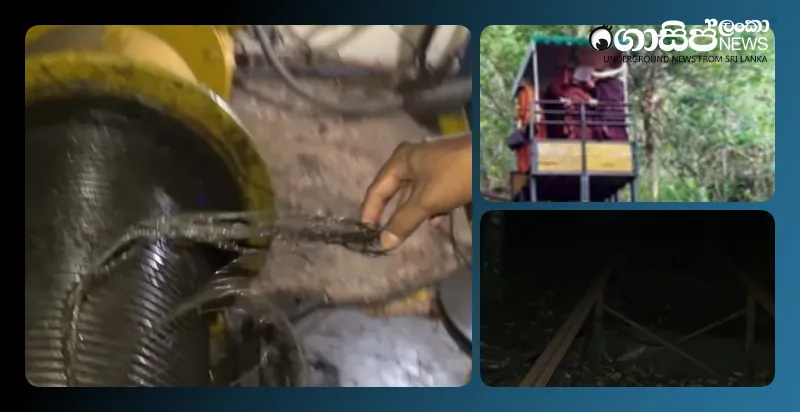 seven-local-and-foreign-monks-die-in-an-accident-at-the-na-uyana-aranya-senasana-in-melsiripura