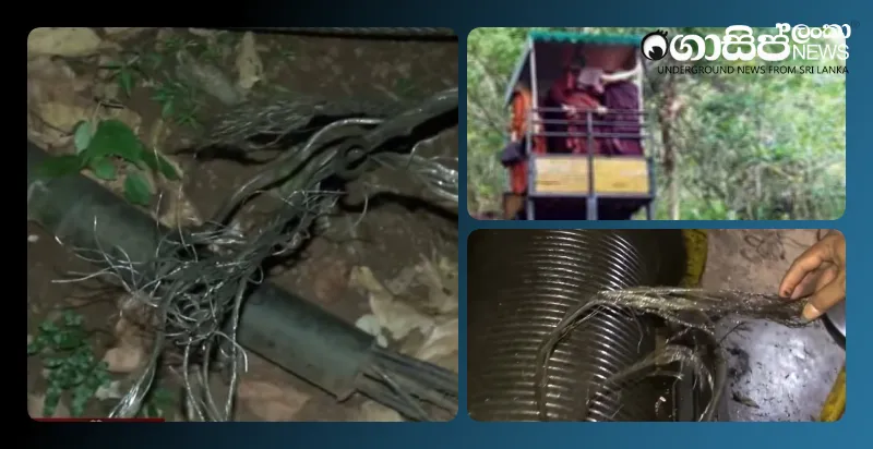 update-an-investigation-into-the-cable-car-crash-incident