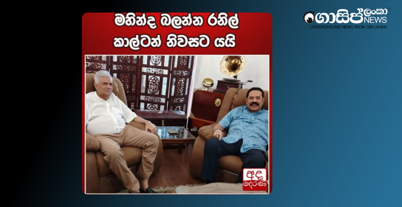 comments-on-the-news-about-ranils-visit-to-mahinda