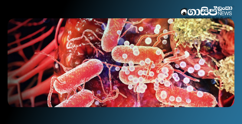 two-employees-of-a-panadura-garment-shop-die-after-eating-contaminated-food-five-others-hospitalized