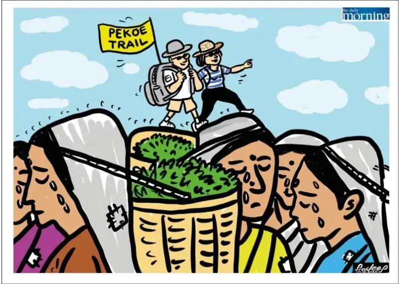 gossiplanka image 22