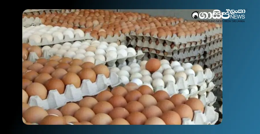 egg-prices-to-drop-in-2-3-weeks